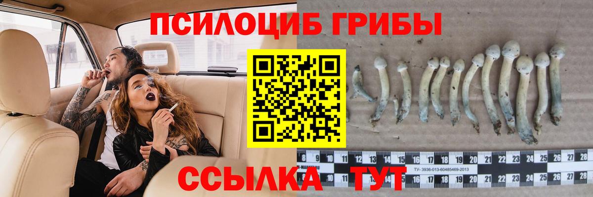 Галлюциногенные грибы мухоморы  Вход с VPN  Уварово 